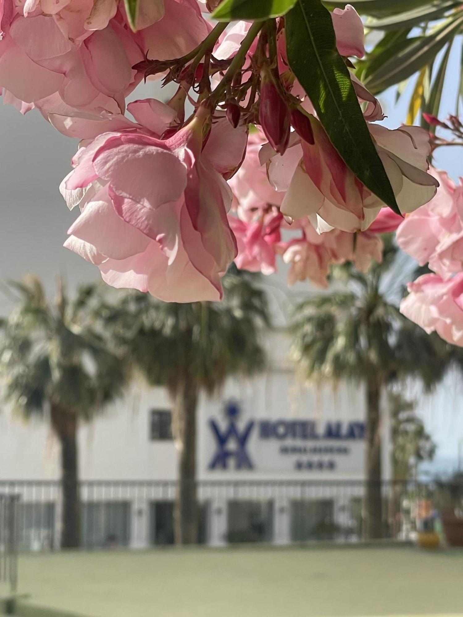Appartamento Alay Benalmádena Esterno foto